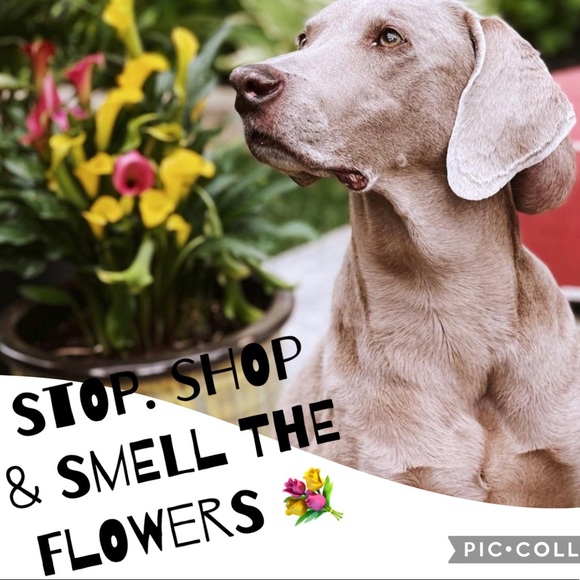 Next live 11/25/25 guest CO HOST W/ @MAF123 - Picture 5 of 16